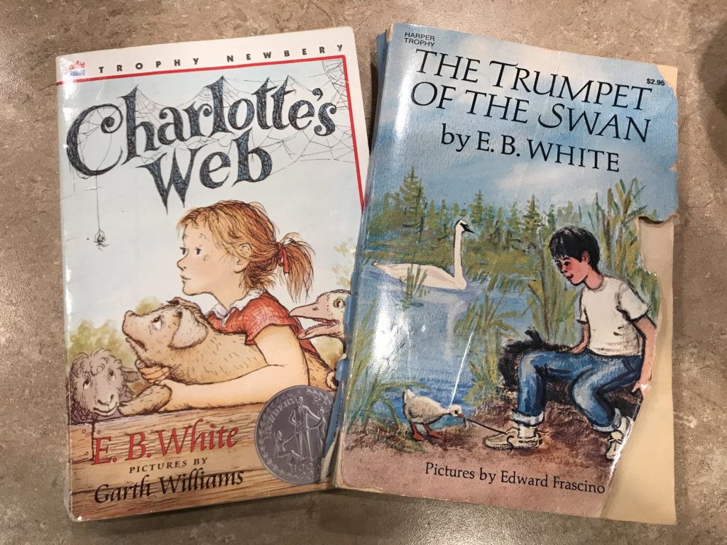 Chapter Books for Advanced Young Readers