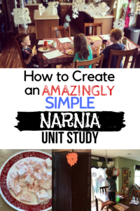 Narnia Unit Study